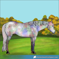 Horse Color:Void Nacre Silver Brown Chinchilla Dun Rabicano