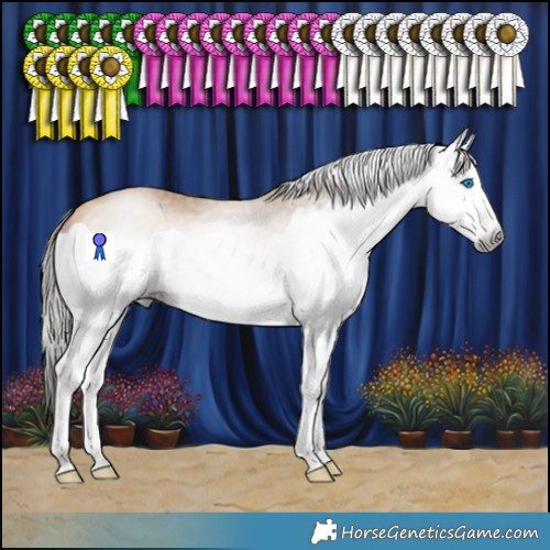 Horse Color:Gray Amber Champagne Splash 