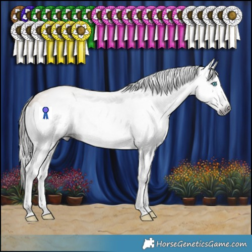 Horse Color:Gray Amber Champagne Splash 
