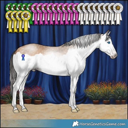 Horse Color:Gray Amber Champagne Splash 