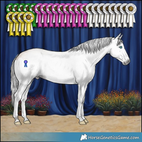 Horse Color:Gray Amber Champagne Splash 