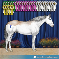 Horse Color:Gray Amber Champagne Splash