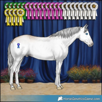 Horse Color:Gray Amber Champagne Splash