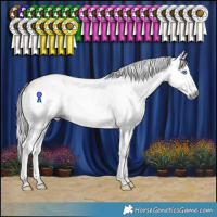 Horse Color:Gray Amber Champagne Splash
