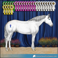 Horse Color:Gray Amber Champagne Splash