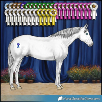 Horse Color:Gray Amber Champagne Splash