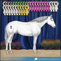 Horse Color:Gray Amber Champagne Splash