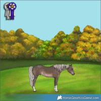 Horse Color:Silver Black Tobiano 