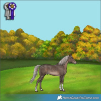 Horse Color:Silver Black Tobiano 
