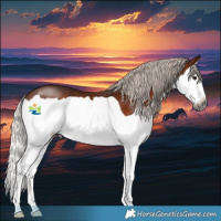 Horse Color:Gray Silver Bay Splash 
