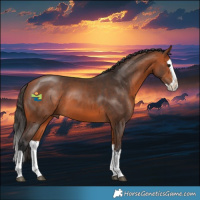 Horse Color:Bay Splash