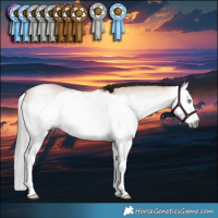 Horse Color:Gray Buckskin Splash