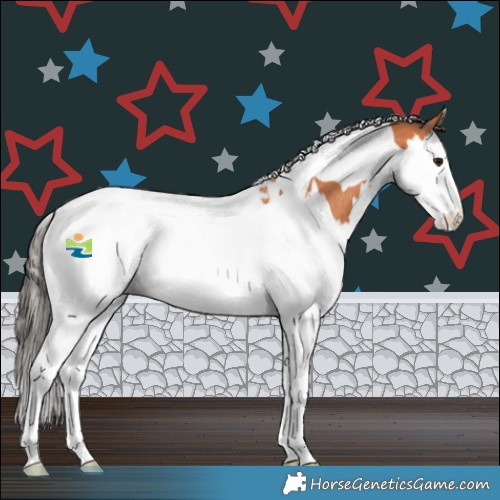 Horse Color:Bay Splash Tobiano Rabicano 