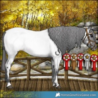 Horse Color:Brown Roan Near Fewspot 