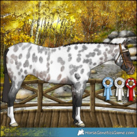 Horse Color:Brown Roan Near Leopard 