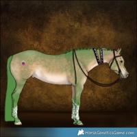 Horse Color:Watercolor Brown Dun Tobiano Rabicano