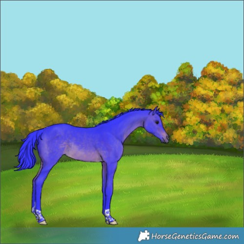 Horse Color:Watercolor Brown Dun Tobiano Rabicano 