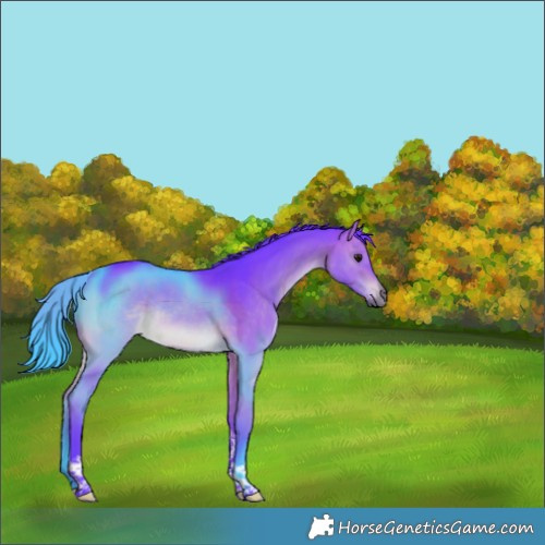 Horse Color:Watercolor Brown Dun Tobiano Rabicano 