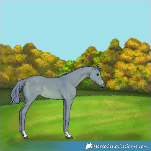 Horse Color:Watercolor Brown Dun Tobiano Rabicano 