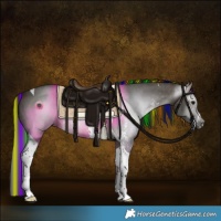 Horse Color:Gray Painted Brown Dun Sabino Tobiano