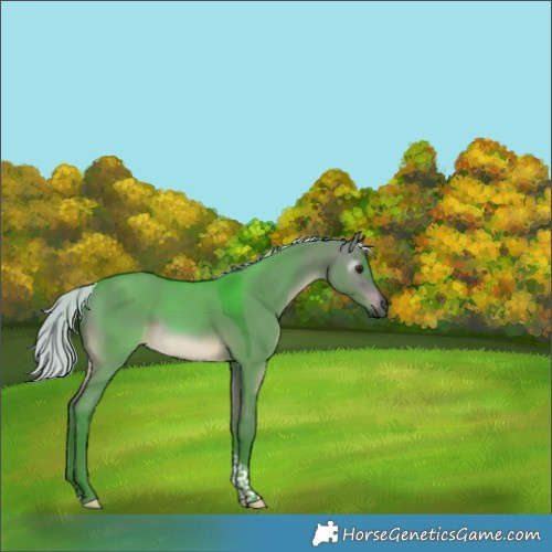 Horse Color:Gray Watercolor Silver Brown Dun Tobiano 