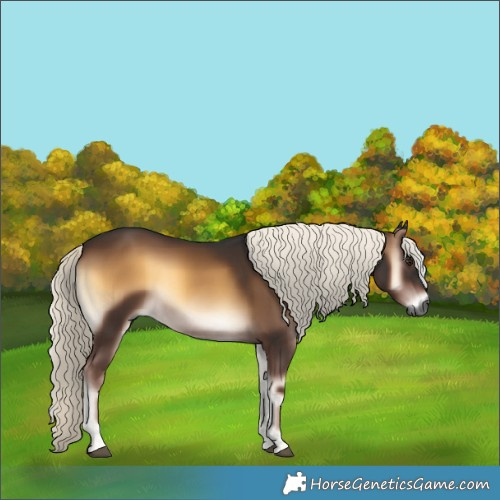 Horse Color:Gray Liver Red Onyx Mushroom 