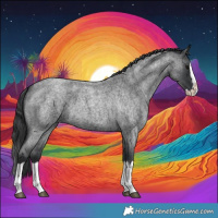 Horse Color:Blue Roan Splash 