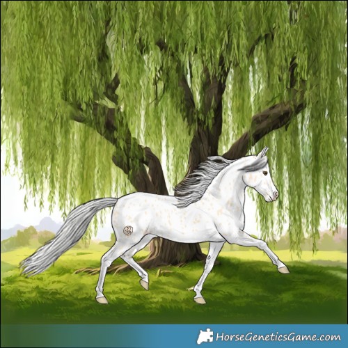 Horse Color:Silver Buckskin Dun Tobiano Near Leopard