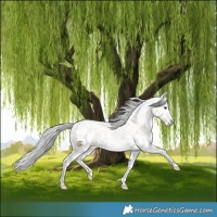 Horse Color:Silver Buckskin Dun Tobiano Near Leopard
