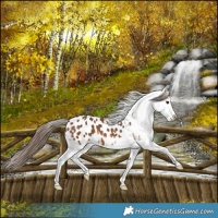 Horse Color:Bay Splash Blanket
