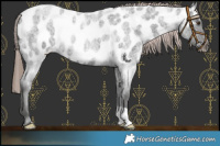 Horse Color:Liver Red Roan Near Leopard 