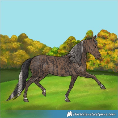 Horse Color:Smoky Black and Silver Smoky Black