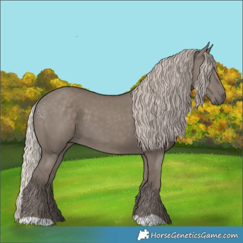Horse Color:Silver Grullo