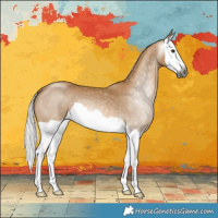Horse Color:Gray Silver Buckskin Splash 