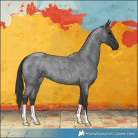 Horse Color:Blue Roan 