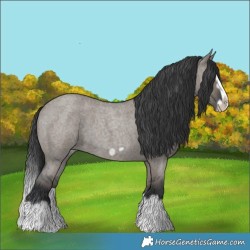 Horse Color:Grullo Roan Splash Frame 