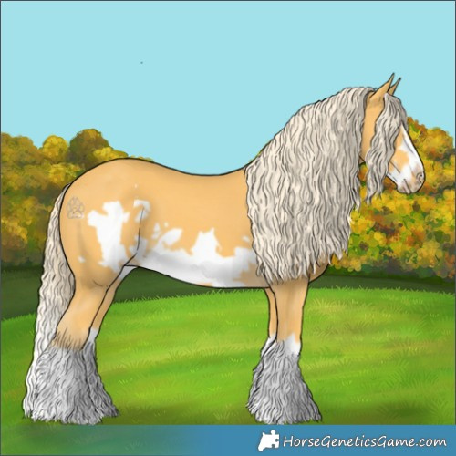 Horse Color:Palomino Splash Frame 