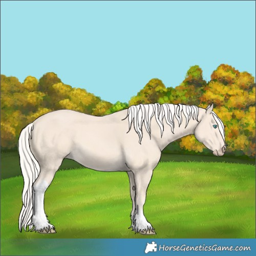 Horse Color:Cremello Tobiano 
