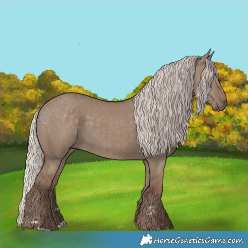Horse Color:Silver Grullo 