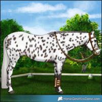 Horse Color:Silver Brown Near Leopard 