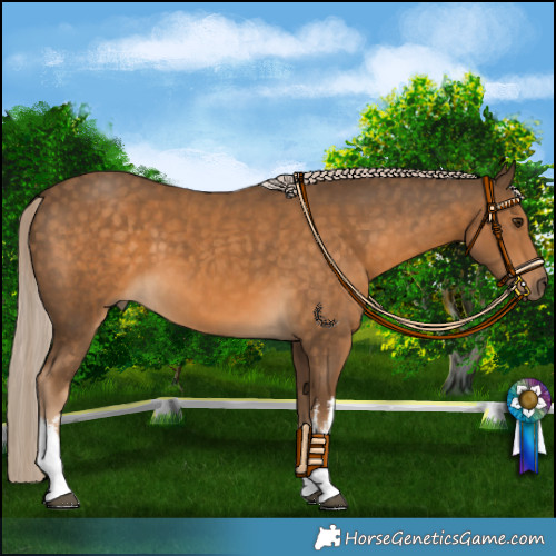 Horse Color:White Spotted Chocolate Palomino 