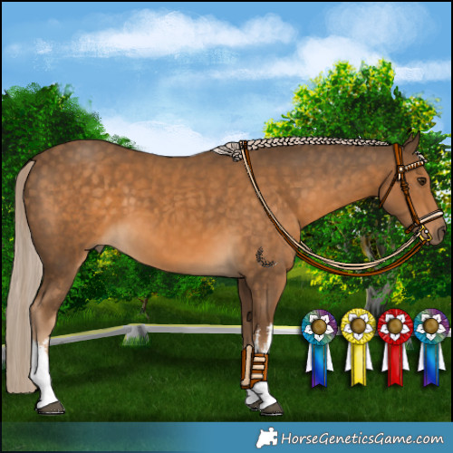 Horse Color:White Spotted Chocolate Palomino 