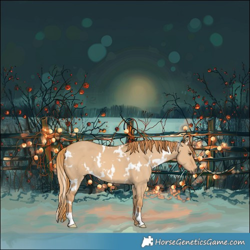 Horse Color:White Spotted Red Dun 