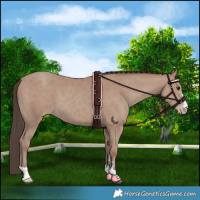Horse Color:Classic Champagne 