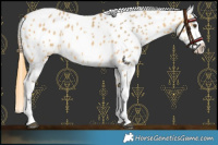 Horse Color:Buckskin Dun Appaloosa 