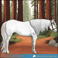 Horse Color:Gray Gold Champagne Near Leopard 