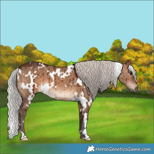 Horse Color:White Spotted Silver Brown Dun Brindle 