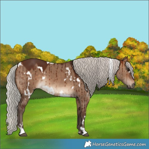 Horse Color:White Spotted Silver Brown Dun Brindle 