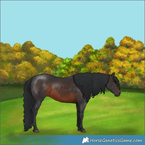 Horse Color:Brown 