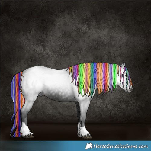 Horse Color:Gray Painted Black